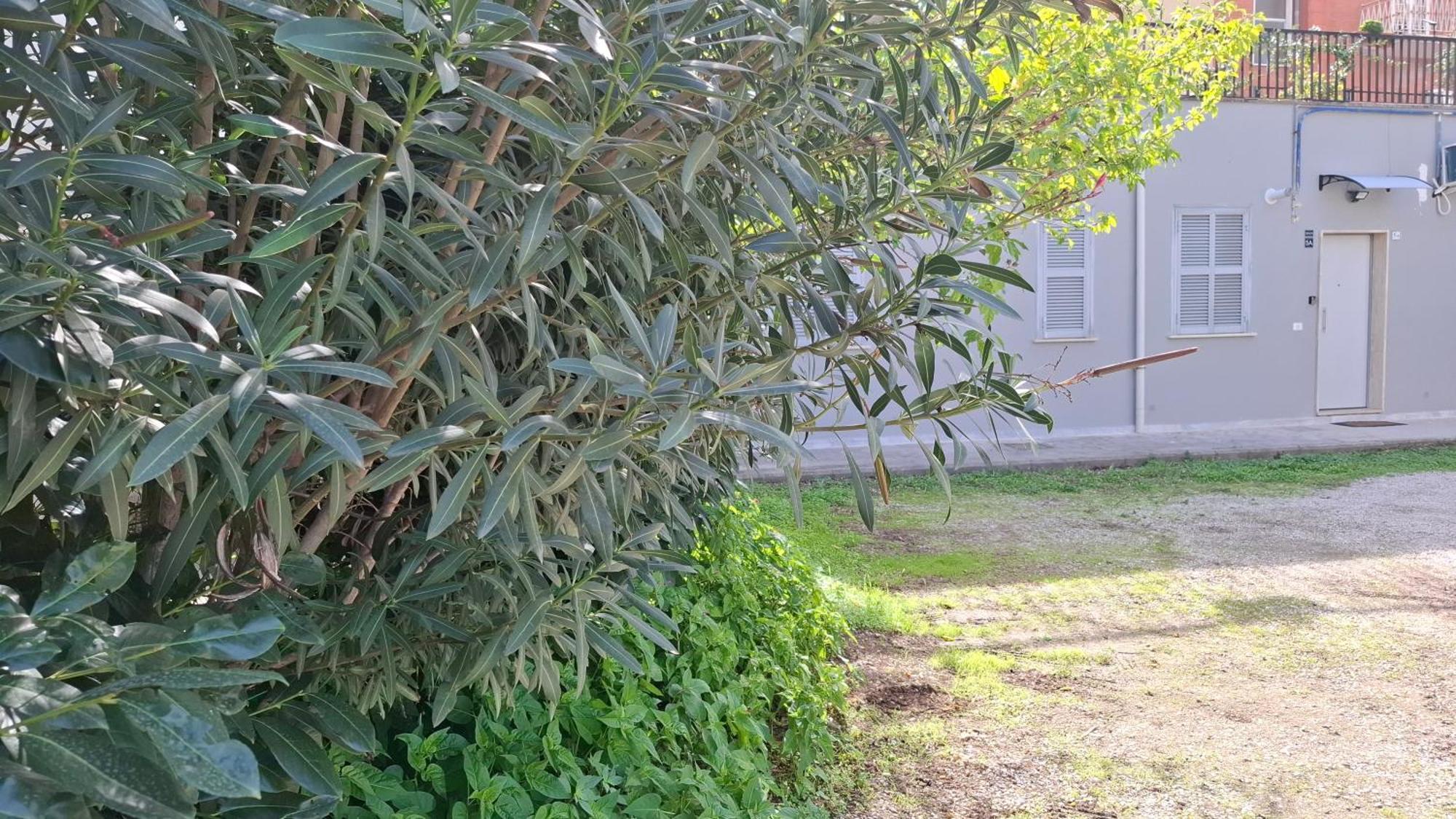Altavilla Apartments Roma Zewnętrze zdjęcie